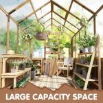 SOLIGEL 6x10FT Cedar Frame Walk-in Greenhouse