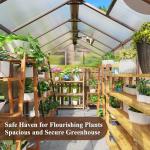 Cedar Frame Walk-In Greenhouse 6x12 FT