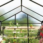 Spacious 6x10 FT Outdoor Greenhouse with Vent