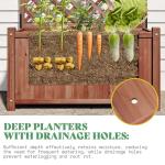 2 Pack Raised Garden Bed with Trellis