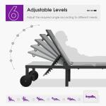 PURPLE LEAF Outdoor Chaise Lounge Chairs Set Recliner Adjustable Chair with Wheels and Table for Poolside Beach Patio Aluminum Reclining Sunbathing Lounger, Mixed Grey
