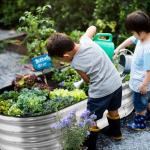 JERIA Galvanized Raised Garden Bed Planter Boxes