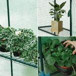 SUNGIFT Outdoor Walk-in Greenhouse with 10 Shelves