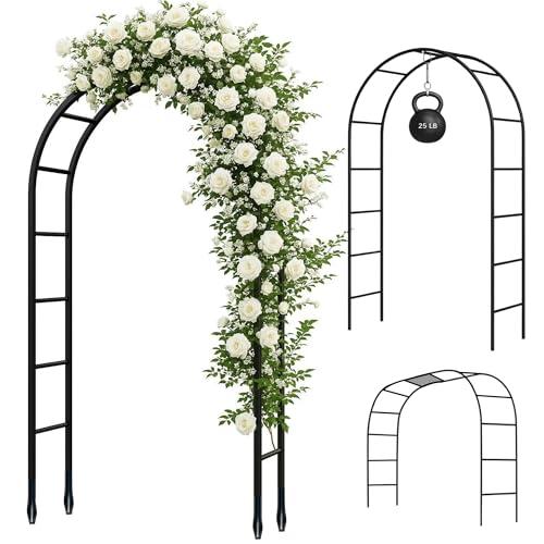 Heavy-Duty Metal Garden Arch for Climbing Plants