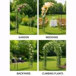 Heavy-Duty Metal Garden Arch for Climbing Plants