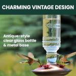 Antique Glass Hummingbird Feeder for Gardens