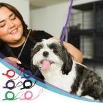 6 Pack Pet Slip Leads for Small Animals