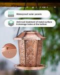 Solar Hanging Bird Feeders for Outdoor Gardens