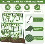 Cucumber Trellis A-Frame with Plant Support Clips