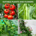 4 Tomato Cages for Garden Support, 51.2" Tall