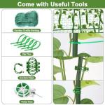 Cucumber Trellis A-Frame with Plant Support Clips