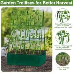 Cucumber Trellis A-Frame with Plant Support Clips