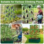 Cucumber Trellis A-Frame with Plant Support Clips