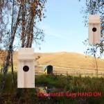 Cedar Bird Houses for Bluebirds and Wrens