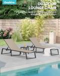 Oasbira Foldable Aluminum Lounge Chairs Set of 2