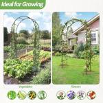 Sturdy Metal Garden Arch Trellis for Climbing Plants