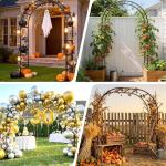 Rustproof Metal Garden Arch Trellis for Climbing Plants