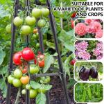 AlisisFores 4 Ft Tower Obelisk Trellis for Potted Climbing Plants, Garden Trellis Rustproof Plastic Coated Metal Plant Support for Vegetables, Vines and Rose Bushes