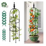 Trellis for Climbing Plants Outdoor 1Pcs Garden Obelisk 6Ft,Metal Pipe Tomato Cage Cucumber Rose Flower Vegetable Grape Round Vine Tall Plants Trellis,Plants Support Stakes Potted Garden Tower Indoor
