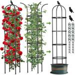 Garden Obelisk Trellis for Climbing Plants Outdoor, 6.2 FT Tomato Cage, Rose, Flowers, Grape, Pea, Cucumber Trellis, Rustproof Plastic Coated Metal Plant Support Trellis for Potted Plants (2 Pack)