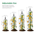 Trellis for Climbing Plants Outdoor 1Pcs Garden Obelisk 6Ft,Metal Pipe Tomato Cage Cucumber Rose Flower Vegetable Grape Round Vine Tall Plants Trellis,Plants Support Stakes Potted Garden Tower Indoor
