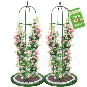 2 Pack Garden Obelisk Trellis for Climbing Plants, 71" Metal Rustproof Plant Support Rose Trellis, Tower Potted Cages for Flowers Fruits Vegetable Vines Indoor & Outdoor, Green(4 Tiers)