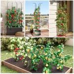 Tower Obelisk Garden Trellis for Climbing Plant，6.2FT/74.4" Rustproof Metal Potted Plant Climbing Support for Indoor Outdoor Flowers Vegetable Fruits Vines Support （1pcs）