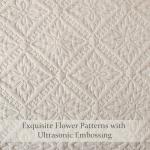 Lightweight King Quilt Bedding Set with Pillow Shams