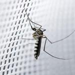 Mosquito Net Bed Canopy for Girls,King Canopy Bed Curtains Full Queen Size from Ceiling,Dome Mosquito Netting Bed Tent Twin Girls Princess Canopy Bed White Decor for Baby Crib,Kid Bed and Adult Beds