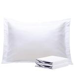 NTBAY Standard Pillow Shams - 2 Pack Brushed Microfiber 20x26 Sham Covers - Super Soft and Cozy, Wrinkle, Fade, Stain Resistant 20x26 Inches Oxford Pillowcases, White