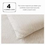 CozyLux Twin XL Soft Comforter Set - Beige