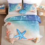 Weigelia Coastal Queen Quilt Set - 3 Piece