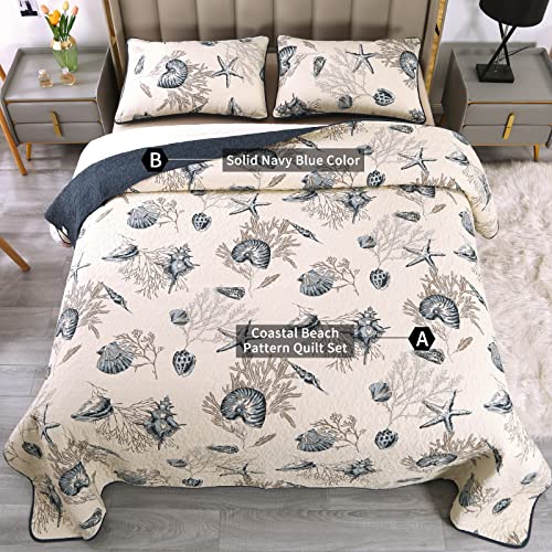 Coastal Starfish Queen Quilt Set, 3-Piece