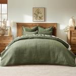 Evergrace Soft Velvet Quilt Set, Queen Size