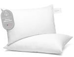 Digital Decor 100% Cotton Luxury Hotel Pillows Standard Size Set of 2, Cooling Down Alternative Bed Pillows for Sleeping, Hypoallergenic Soft Pillows for Side & Back Sleepers, Made in USA, 26" x 20"