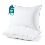 Adjustable Bed Pillows for Sleeping - Firm Pillows Standard Size Set of 2, Soft & Fluffy Down Alternative Fill, Zippered Hotel Quality Pillows with Gray Piping, 110GSM Premium Cover, CertiPUR-US