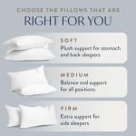 Digital Decor 100% Cotton Luxury Hotel Pillows Standard Size Set of 2, Cooling Down Alternative Bed Pillows for Sleeping, Hypoallergenic Soft Pillows for Side & Back Sleepers, Made in USA, 26" x 20"