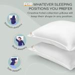 HARBOREST Bed Pillows Standard Size Set of 2 - Luxury Hotel Collection Down Alternative Pillows for Sleeping, 20 x 26 Inches