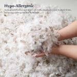 Pacific Coast Goose Feather and Down Bed Pillows Standard Size Set of 2, Hotel Pillow for Sleeping, Downproof, Soft, Fluffy, 100% Cotton Shell