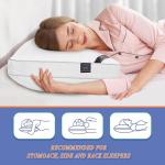 MZOIMZO Luxury Comfy Hotel Collection Bed Pillows for Sleeping- Firm Standard Size Set of 2, Gusseted Cooling Side Mesh Design with Premium Down Alternative Filling for Back, Stomach or Side Sleepers