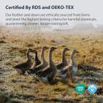 Pacific Coast Goose Feather and Down Bed Pillows Standard Size Set of 2, Hotel Pillow for Sleeping, Downproof, Soft, Fluffy, 100% Cotton Shell