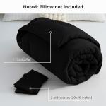 CozyLux Queen Black Comforter Set, 3 Pieces