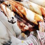 White Horse 3D Bedding Set for Teens