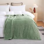 Super Soft Sage Green Fleece Throw Blanket 50”x60”