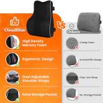 CloudBliss Memory Foam Lumbar Support Pillow