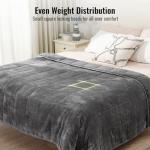 Queen Size 15lbs Weighted Blanket with Plush Fleece