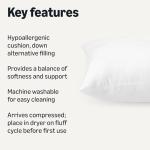 Amazon Basics 20 x 54 Inch Long Body Pillow