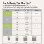 Queen Size 15lbs Weighted Blanket with Plush Fleece