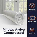 Amazon Basics 20 x 54 Inch Long Body Pillow