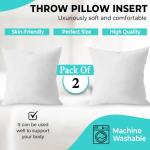 QUBA 18 x 18 Down Alternative Pillow Inserts (2-Pack)